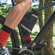 BOLSA-P-QUADRO-43216-001-P-BICICLETA-TRAMONTINA1