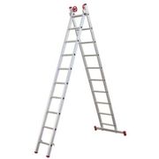 Escada-Extensiva-de-Aluminio-com-11-Degraus-ENE011-Agata