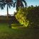 Espeto-de-LED-Para-Jardim-5W-FoxLux-2.jpg
